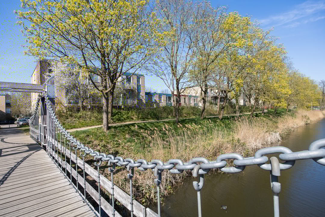 Foto 38 van Jungfrau 60