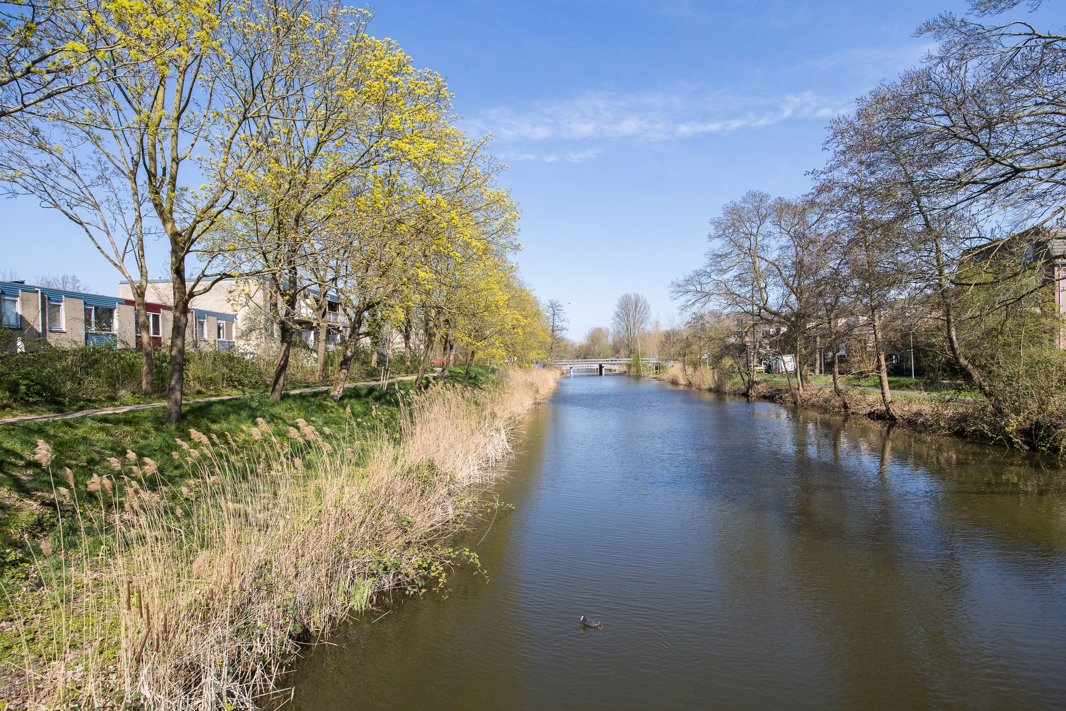 Foto 39 van Jungfrau 60