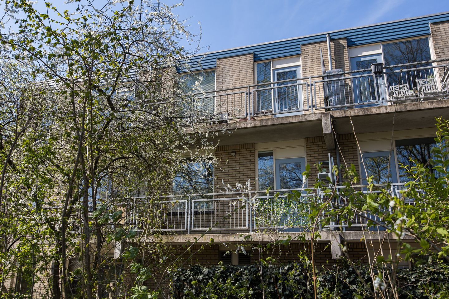 Foto 40 van Jungfrau 60