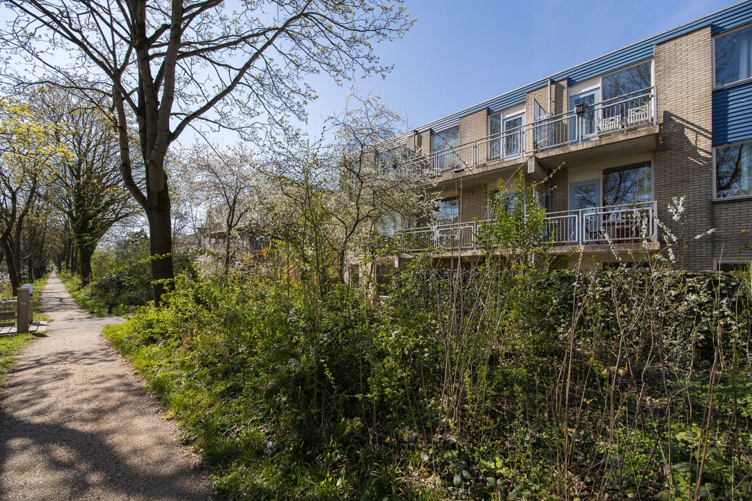 Foto 41 van Jungfrau 60