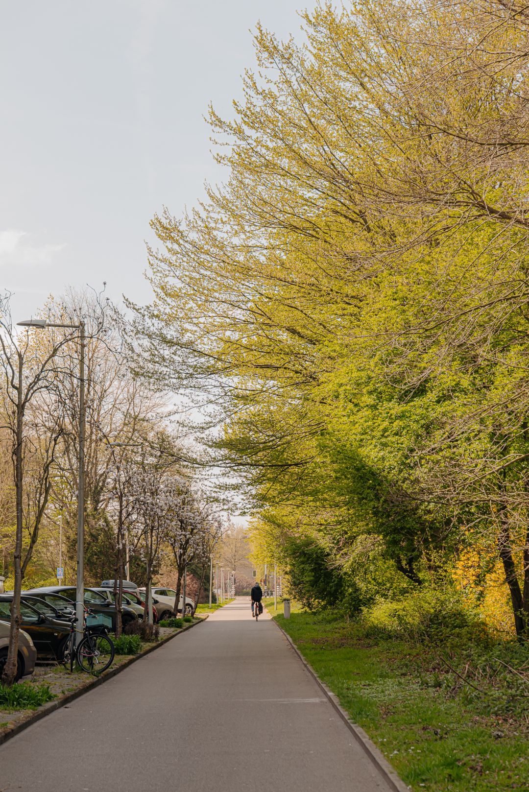 Photo 31 of Eastonstraat 156