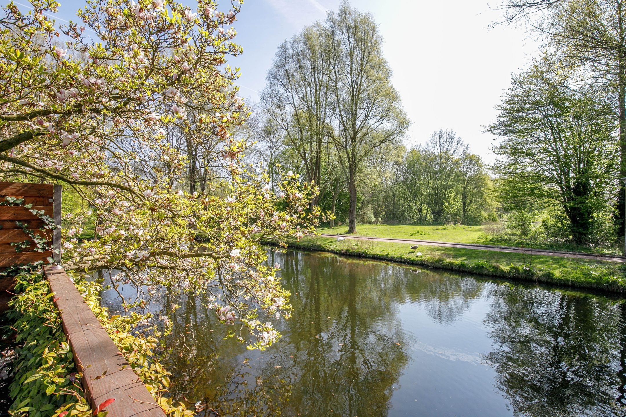 Photo 30 of Kringdans 31