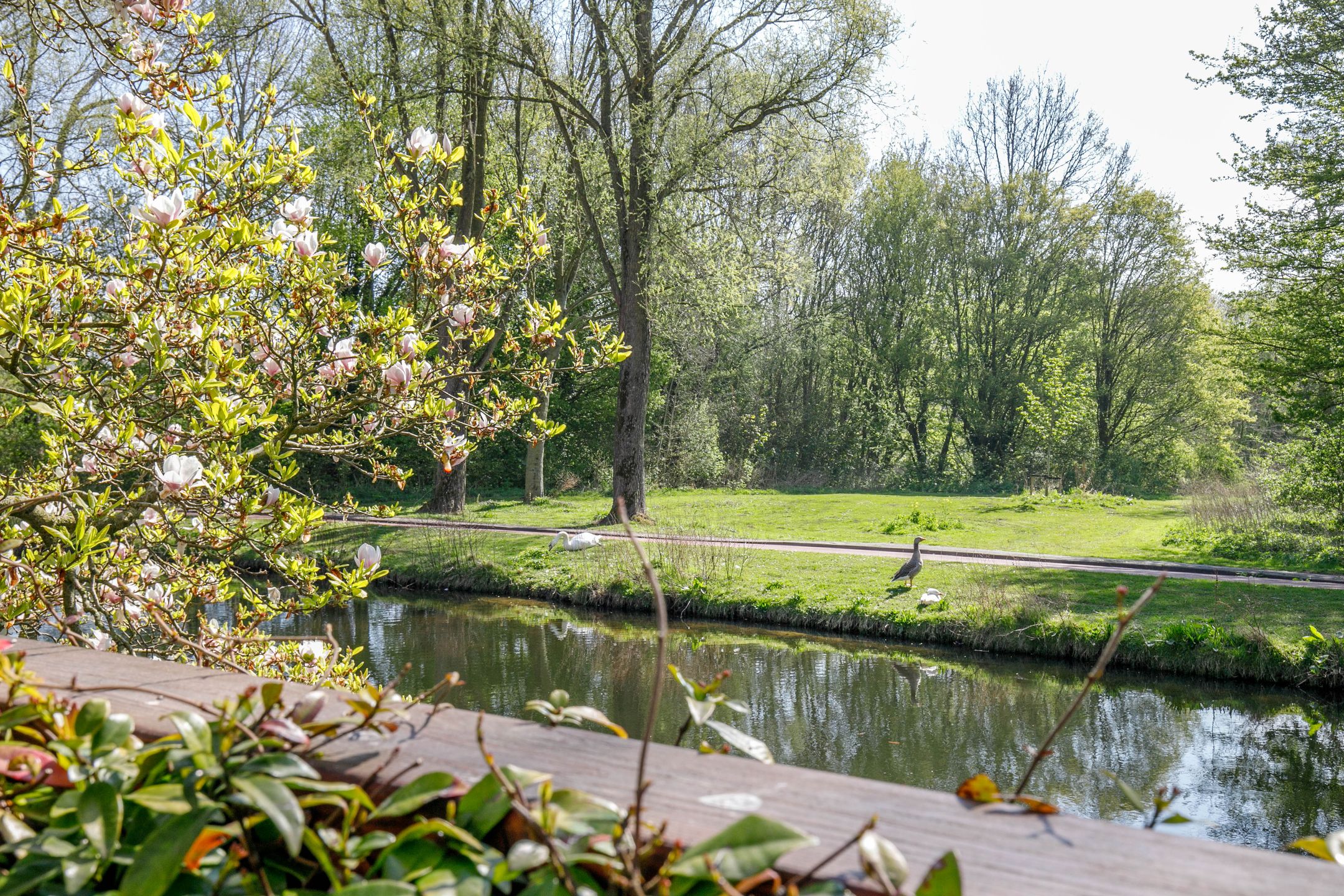 Photo 27 of Kringdans 31