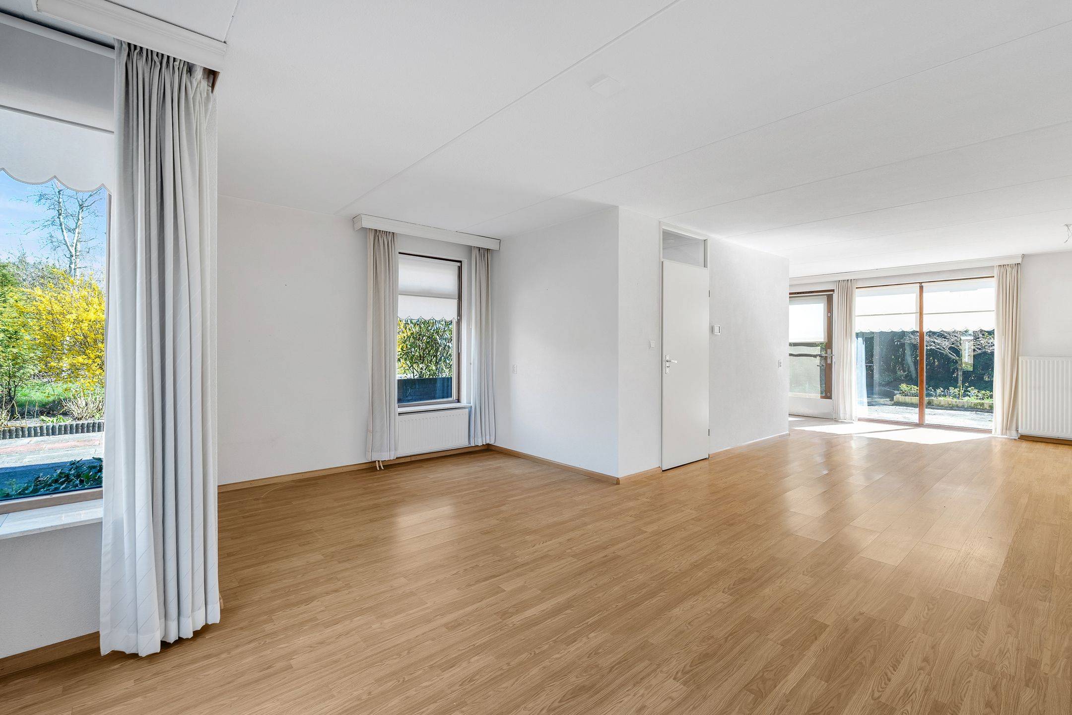 Photo 3 of Pastinaak 9