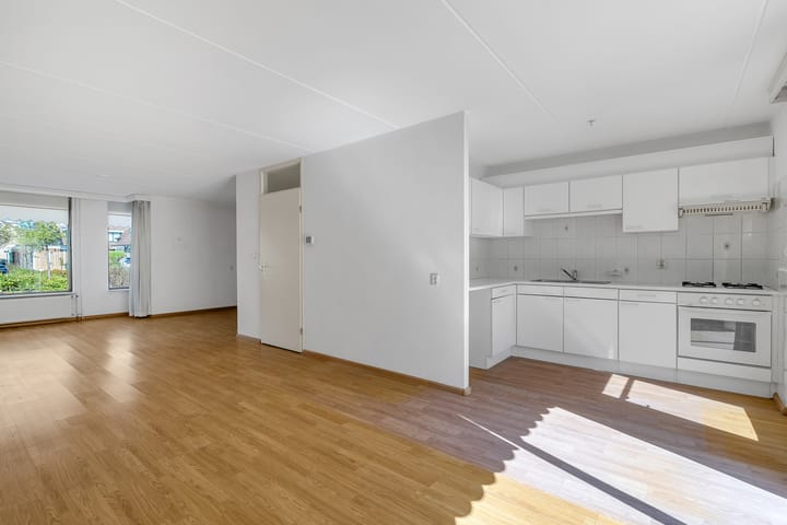 Foto 6 van Pastinaak 9