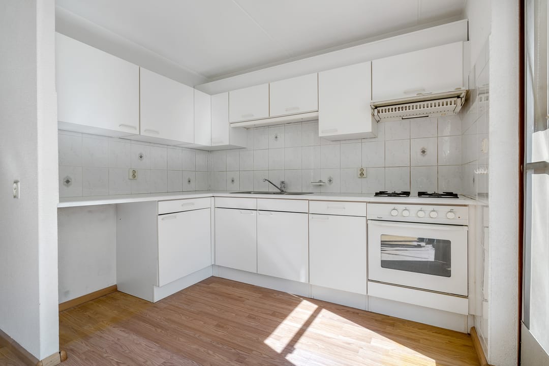 Photo 7 of Pastinaak 9