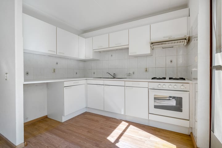 Foto 7 van Pastinaak 9