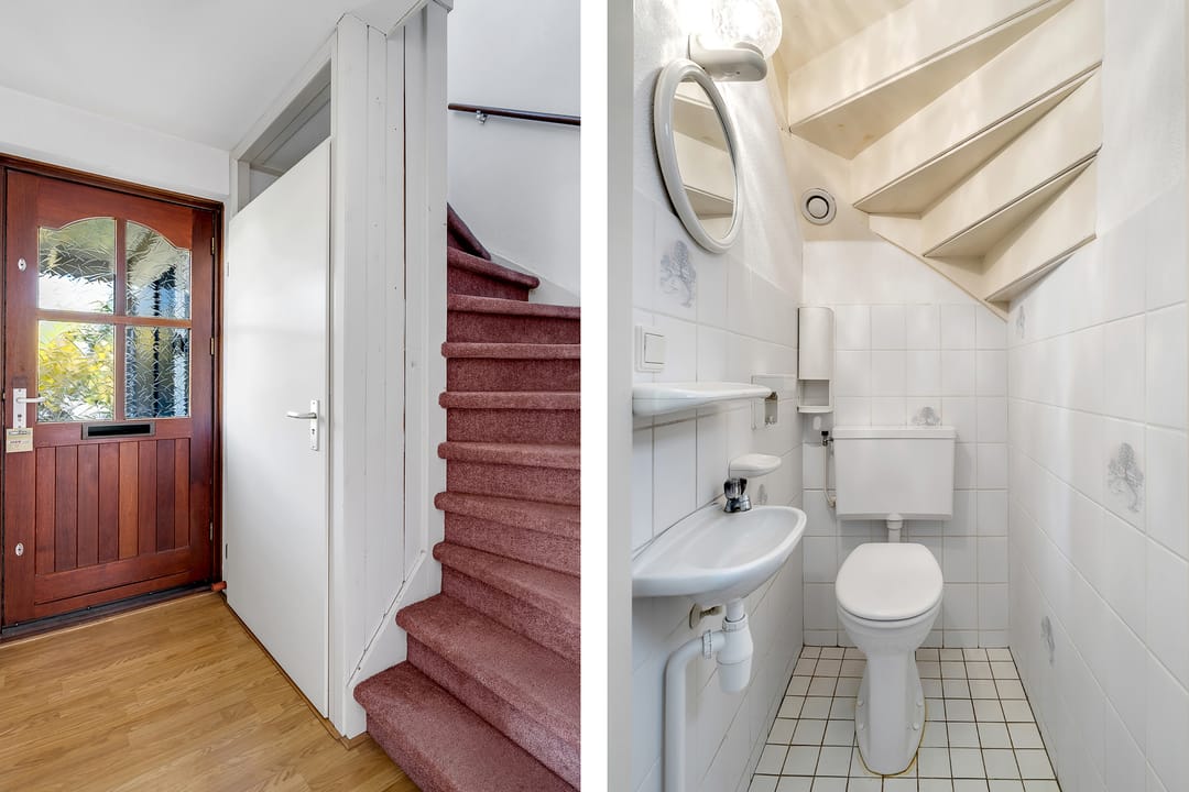 Photo 8 of Pastinaak 9