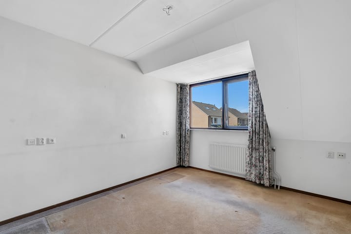 Foto 10 van Pastinaak 9