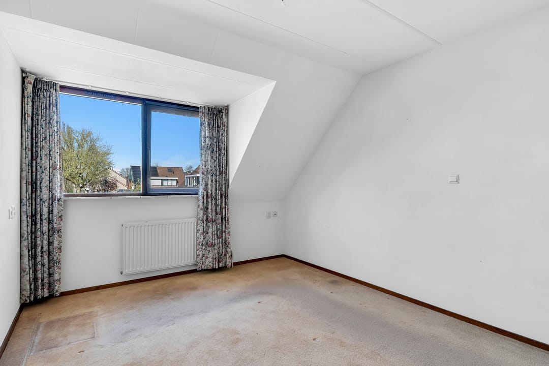 Photo 11 of Pastinaak 9