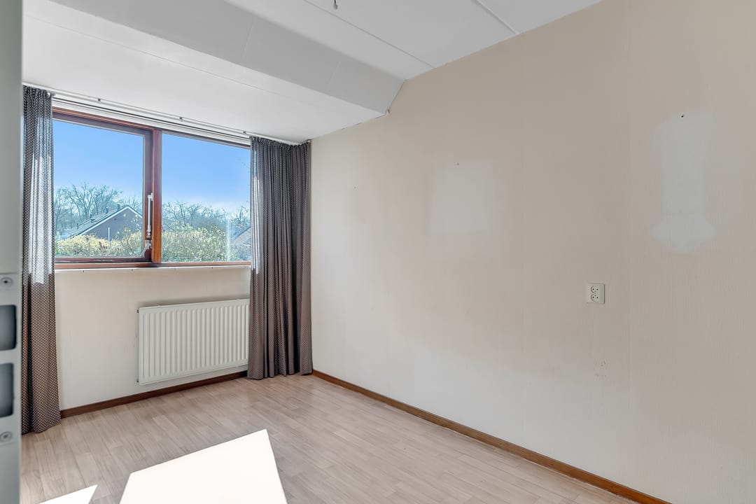 Photo 13 of Pastinaak 9