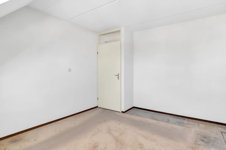 Foto 12 van Pastinaak 9