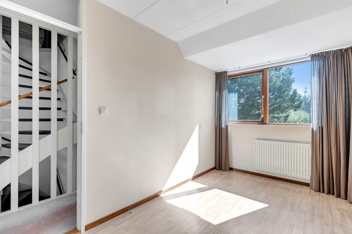 Foto 14 van Pastinaak 9