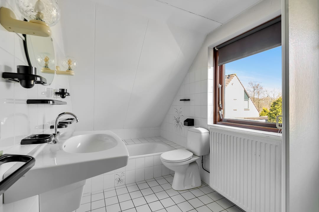 Photo 16 of Pastinaak 9