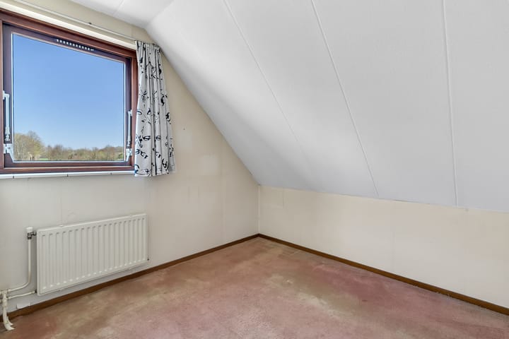 Foto 15 van Pastinaak 9