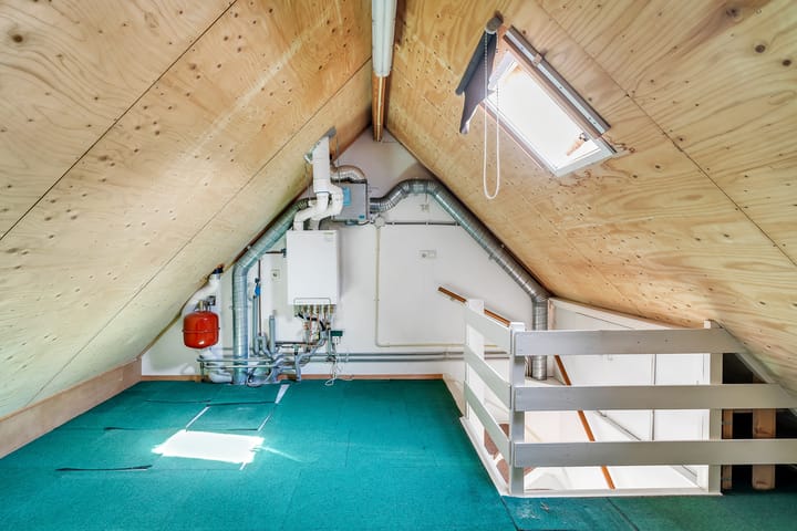 Foto 19 van Pastinaak 9