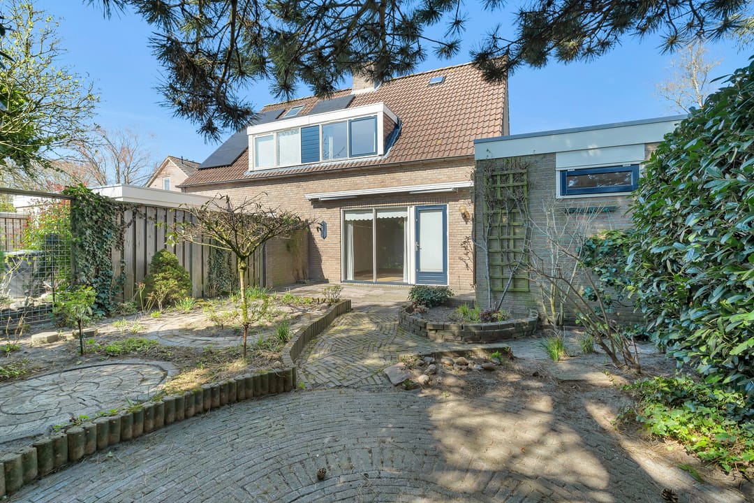 Photo 22 of Pastinaak 9