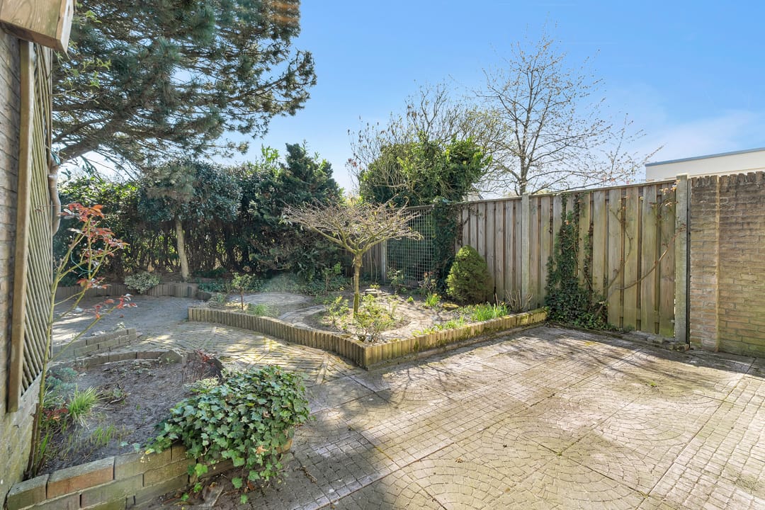 Photo 23 of Pastinaak 9