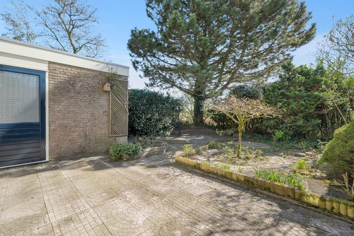 Foto 24 van Pastinaak 9