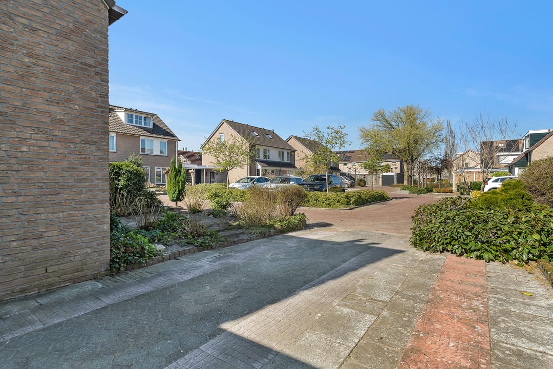 Photo 26 of Pastinaak 9