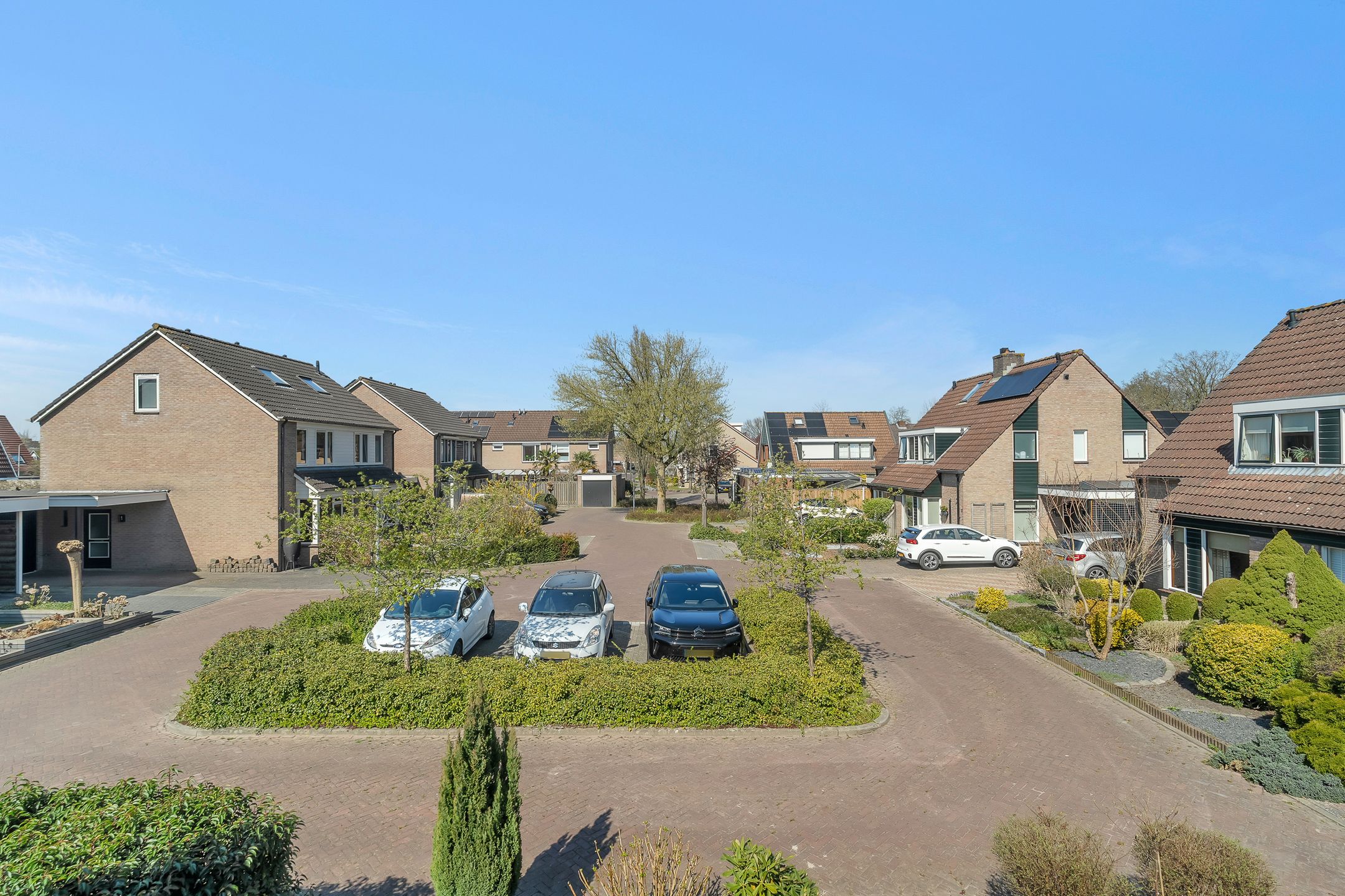 Photo 27 of Pastinaak 9