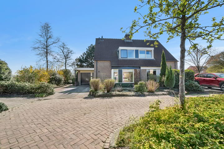 Foto 29 van Pastinaak 9