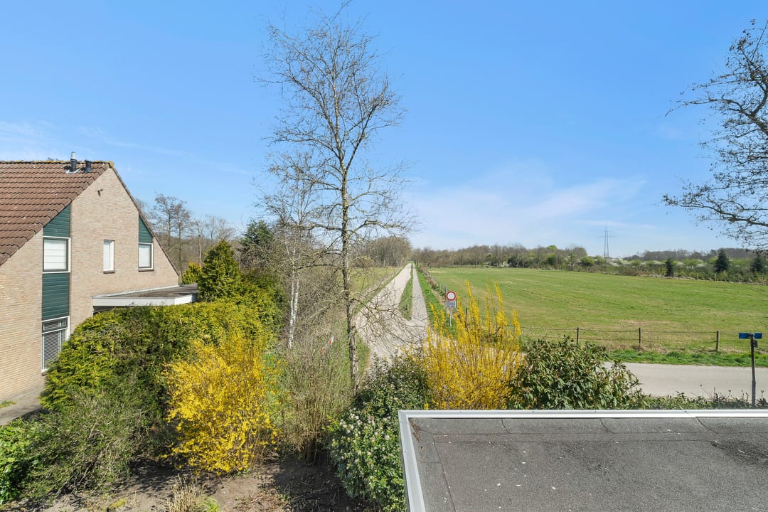 Photo 28 of Pastinaak 9