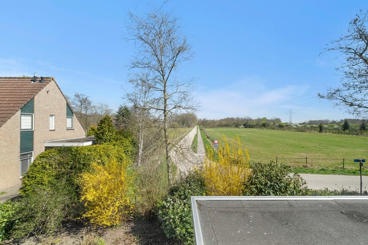 Foto 28 van Pastinaak 9