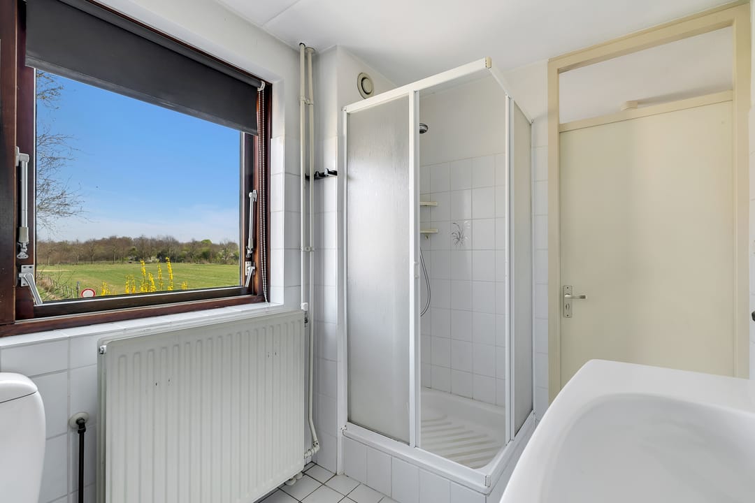 Photo 17 of Pastinaak 9