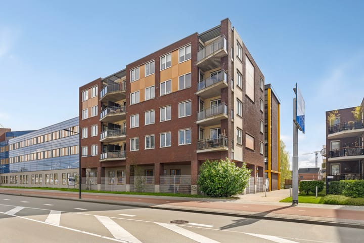 undefined main image
