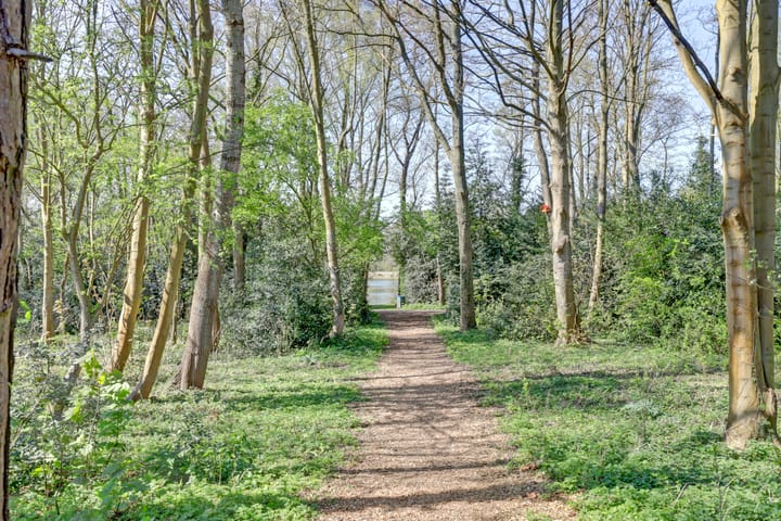 Foto 6 van Capelweg 9