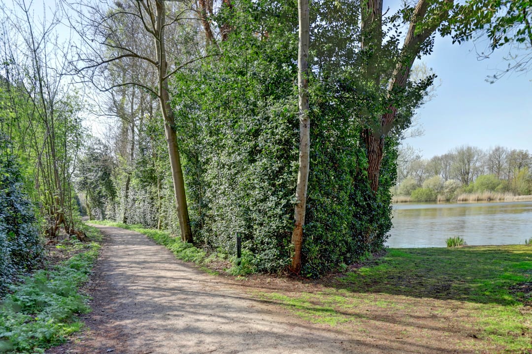 Foto 8 van Capelweg 9