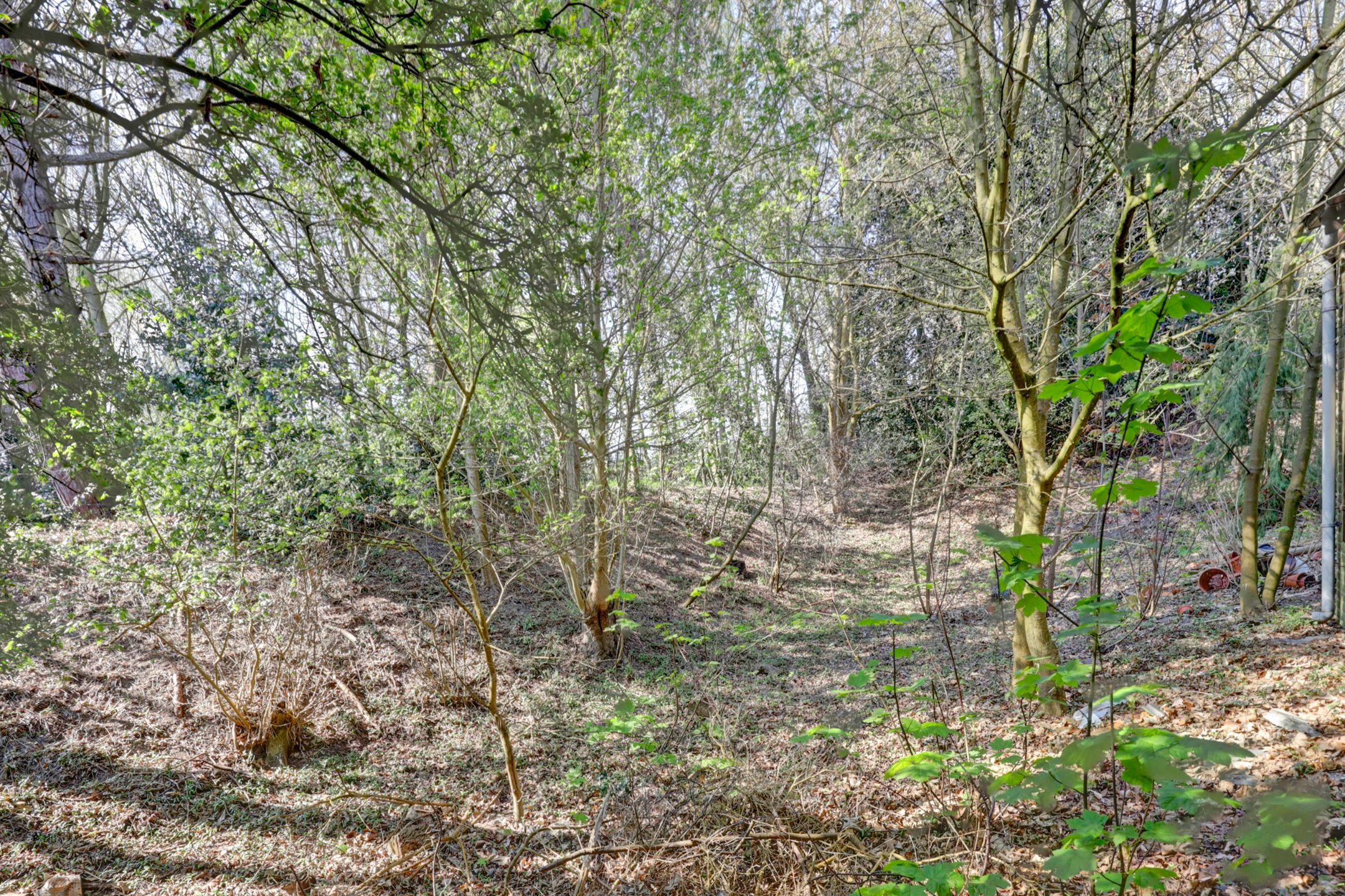 Foto 36 van Capelweg 9