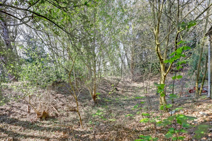 Foto 36 van Capelweg 9