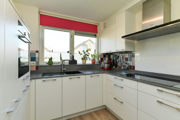 Foto 4 van Stekelzegge 8