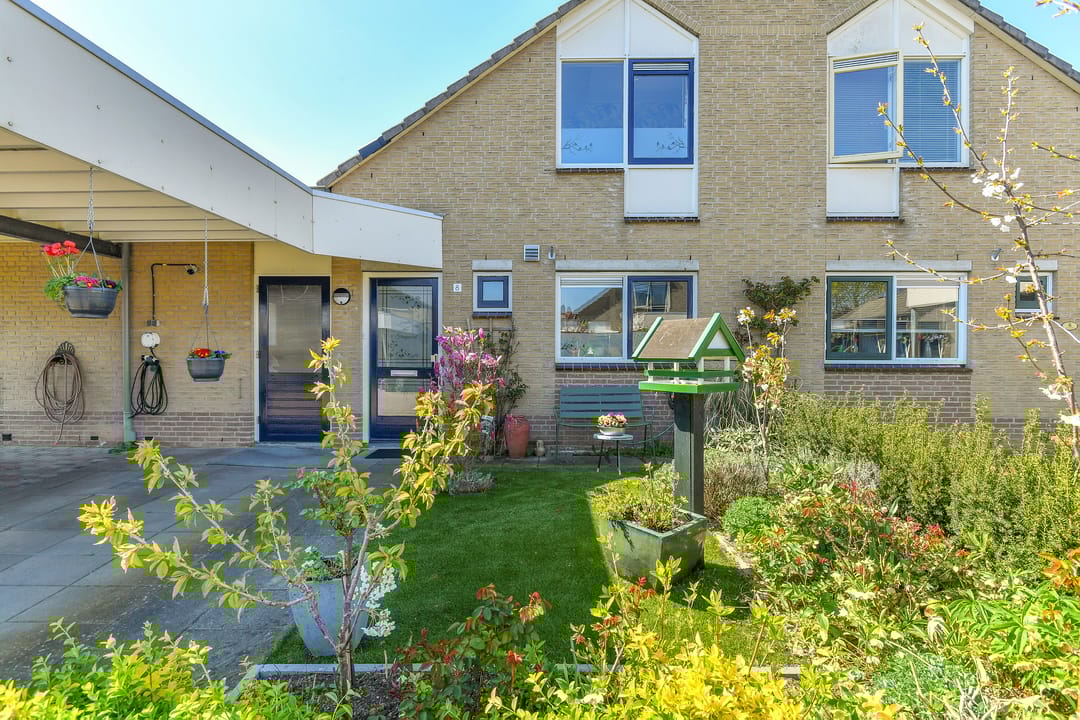 Foto 8 van Stekelzegge 8