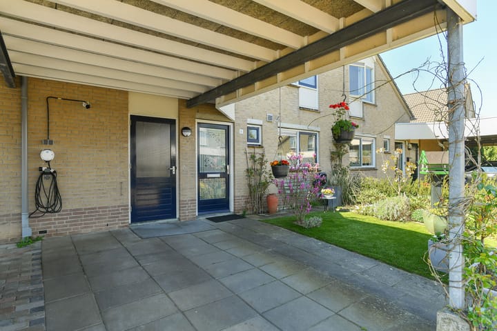 Foto 10 van Stekelzegge 8