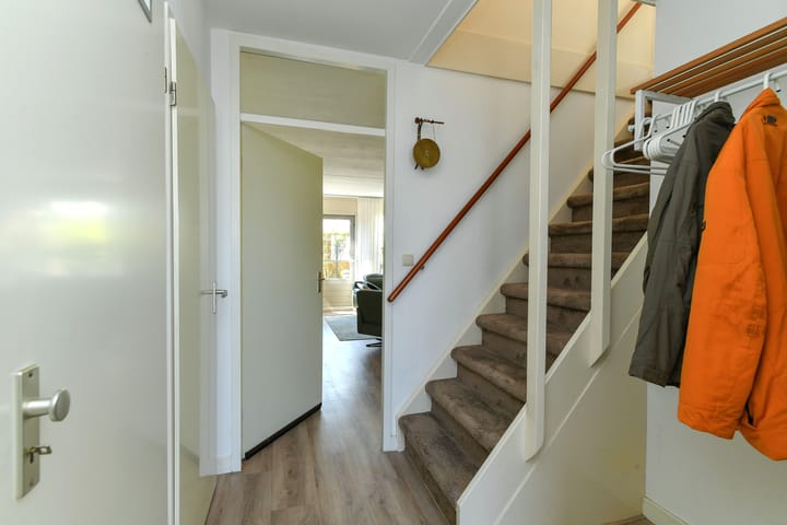 Foto 13 van Stekelzegge 8