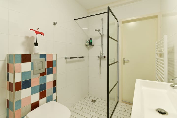 Foto 26 van Stekelzegge 8