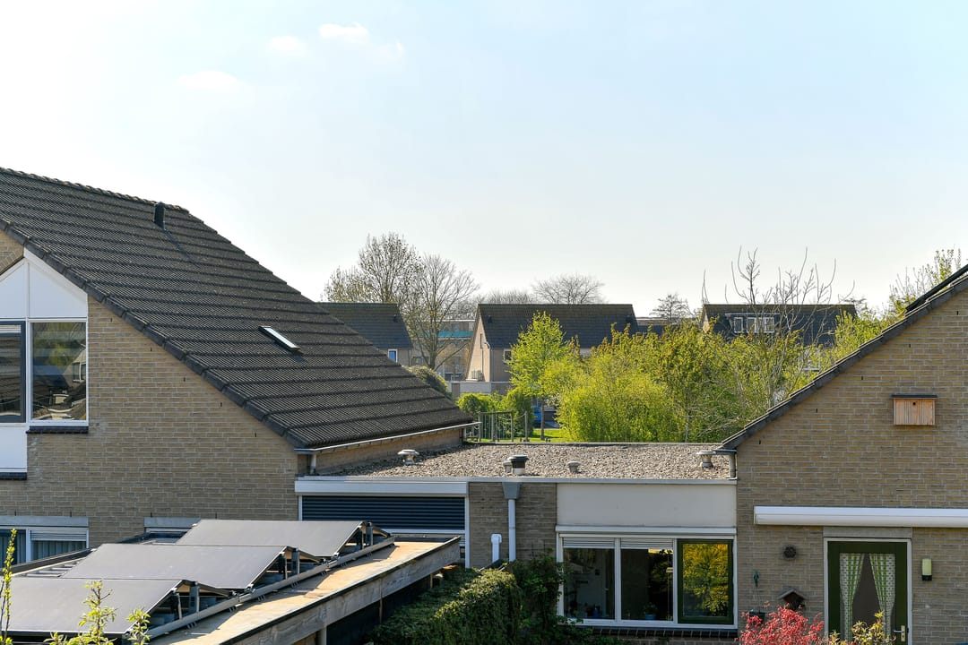 Foto 37 van Stekelzegge 8