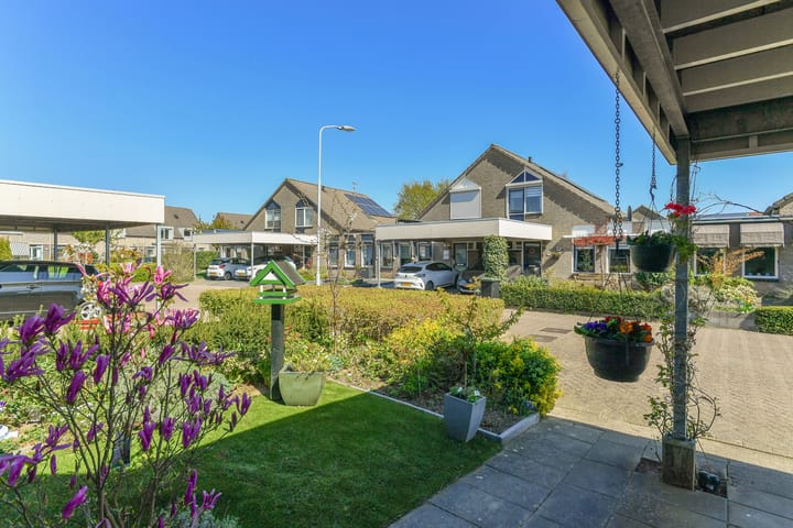 Foto 9 van Stekelzegge 8