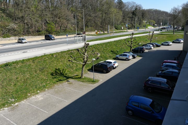 Photo 31 of Witteweg 4-Y