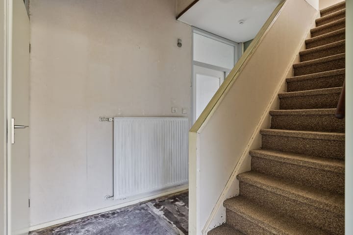 Foto 5 van Koningsvaren 10