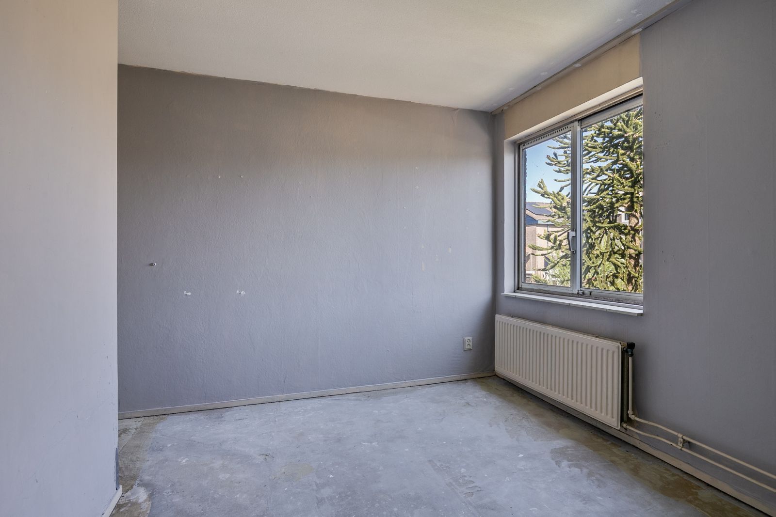 Foto 15 van Koningsvaren 10