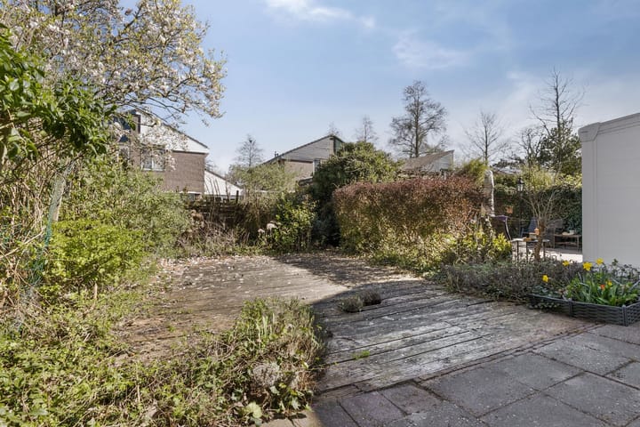 Foto 24 van Koningsvaren 10