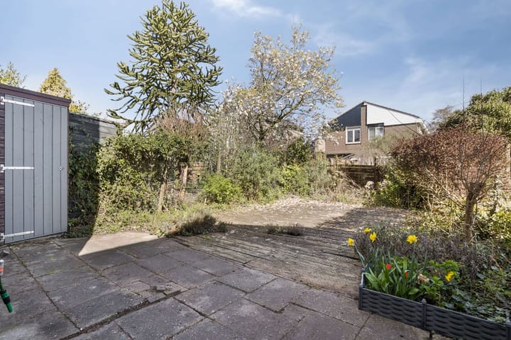 Foto 25 van Koningsvaren 10