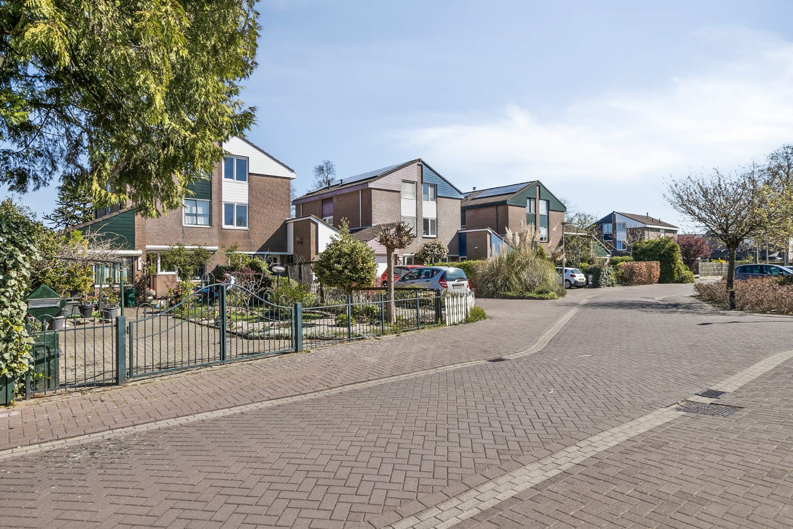 Foto 30 van Koningsvaren 10