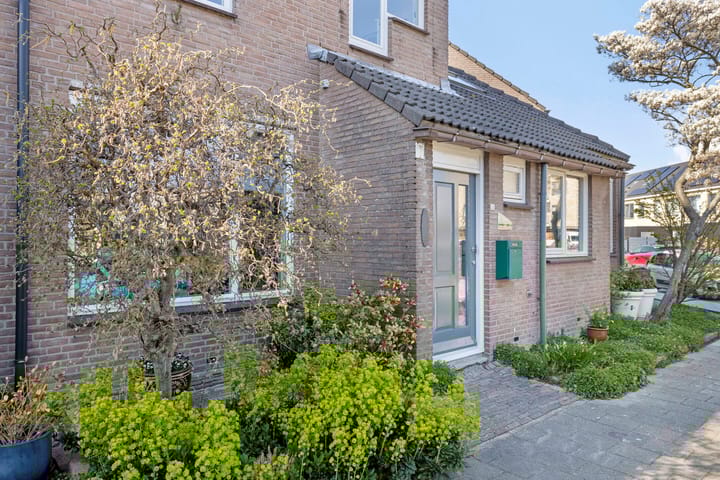 Foto 2 van Chrysant 22