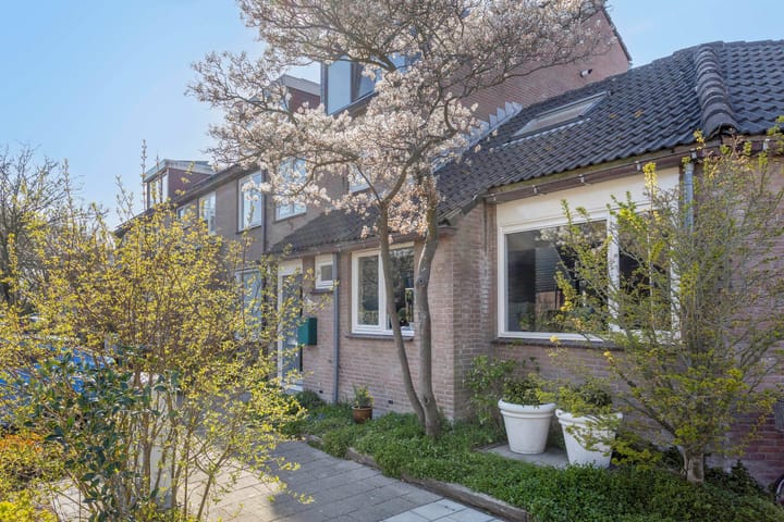 Foto 3 van Chrysant 22