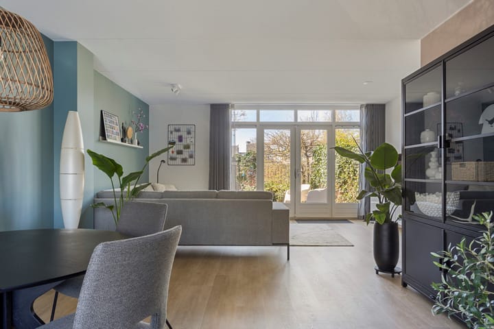 Foto 5 van Chrysant 22